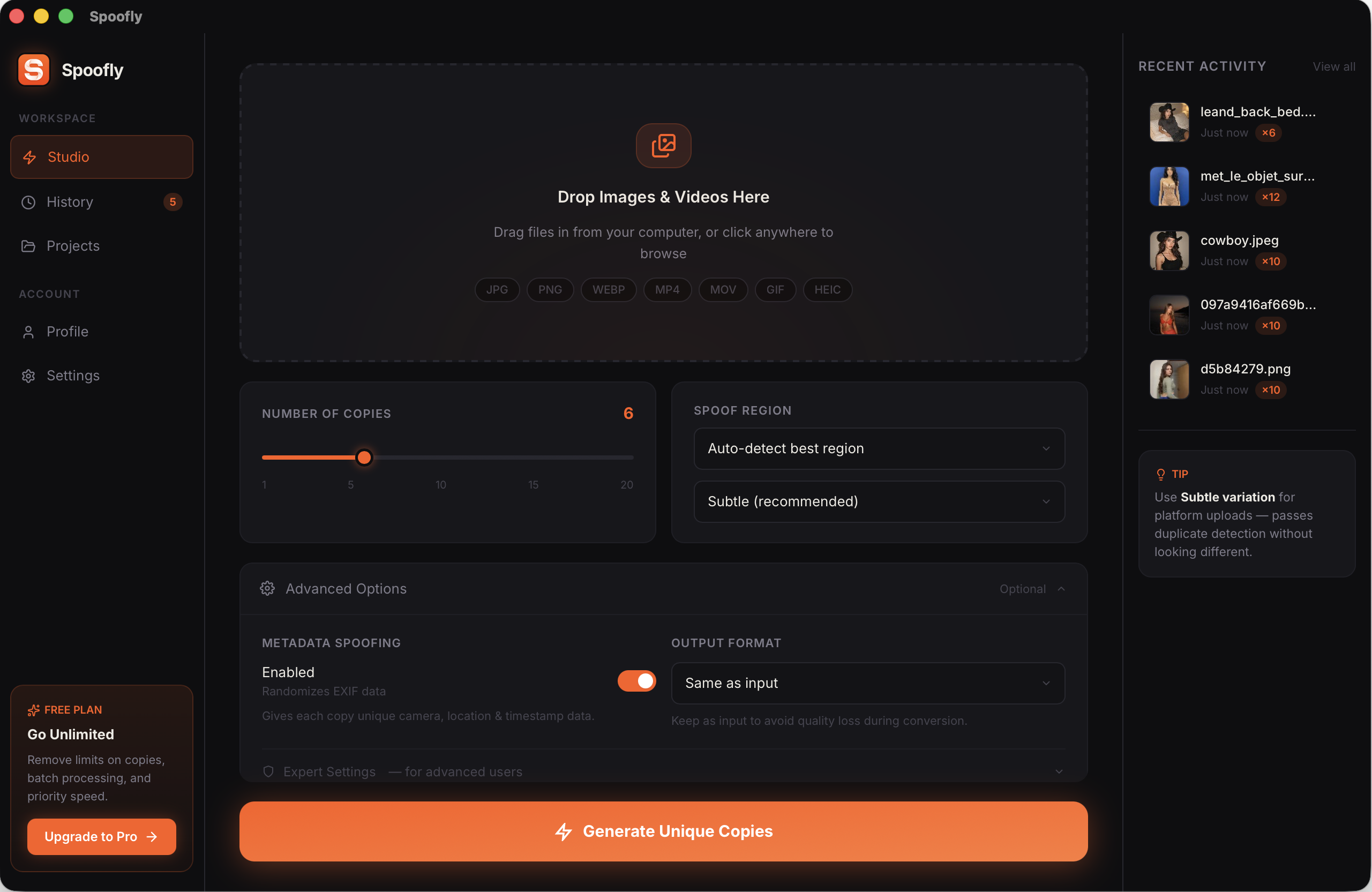 Spoofly Studio — generate unique copies of your photos and videos